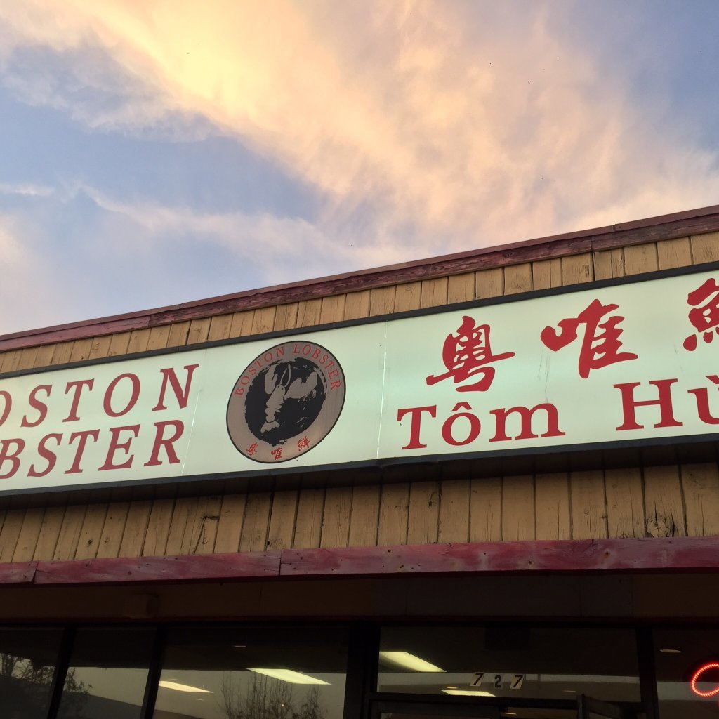 Boston Lobster